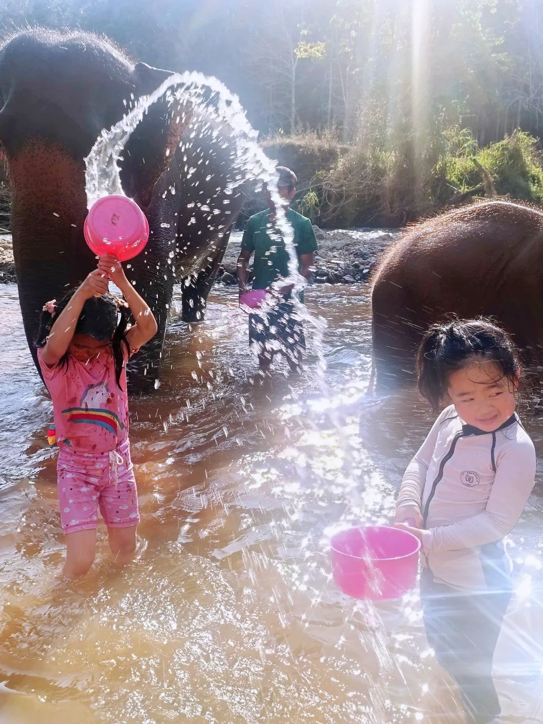 清迈大象营全攻略｜无踩雷亲子半日游这样玩