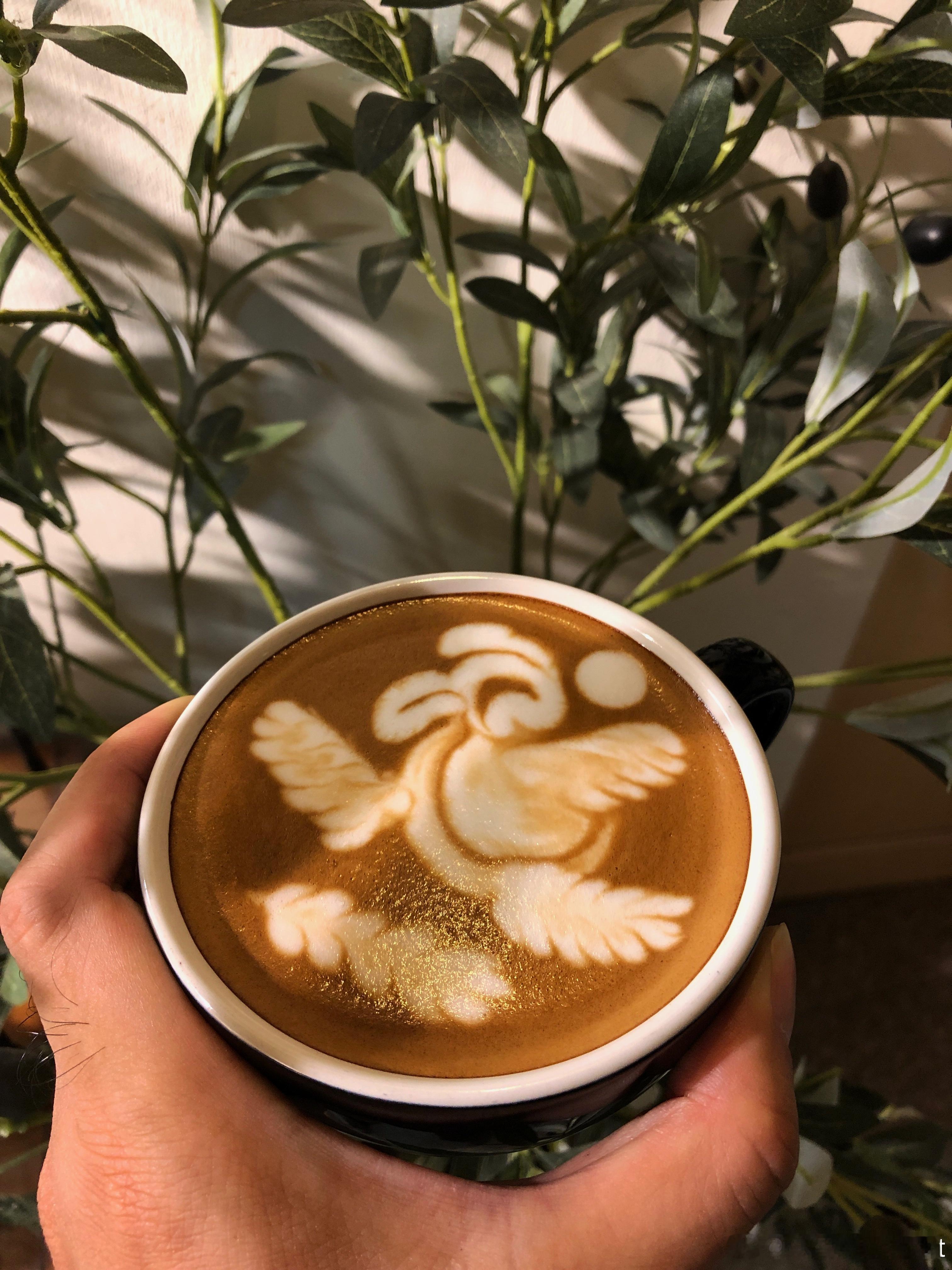 晚安😴🎮🥱☕️🫘🛏️🌛🌃💤😪咖啡工作室咖啡培训咖啡课程咖啡烘焙