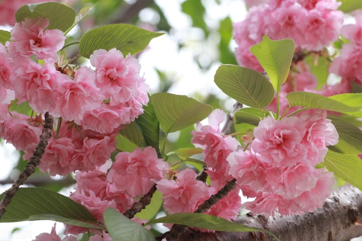 有人来，教你识真情；有人至，让你辨假意。如同有人予温暖，有人添心寒。生命的馈赠，