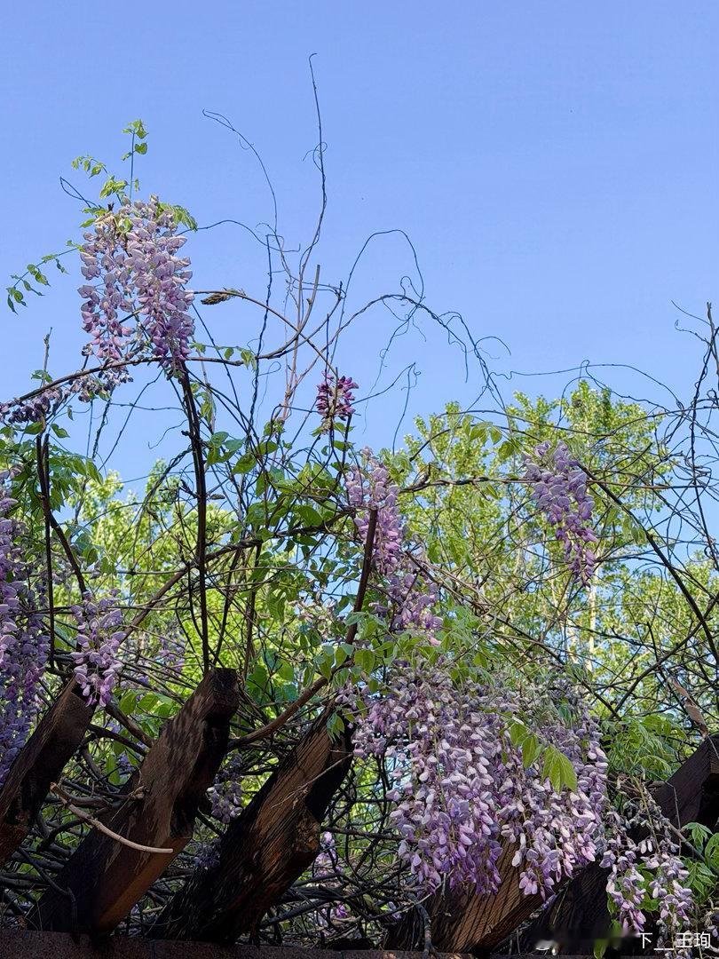 大多数女生都会嫁出去的，不用太过焦虑，更无需为爱一个人和结一次婚去努力，缘分到了