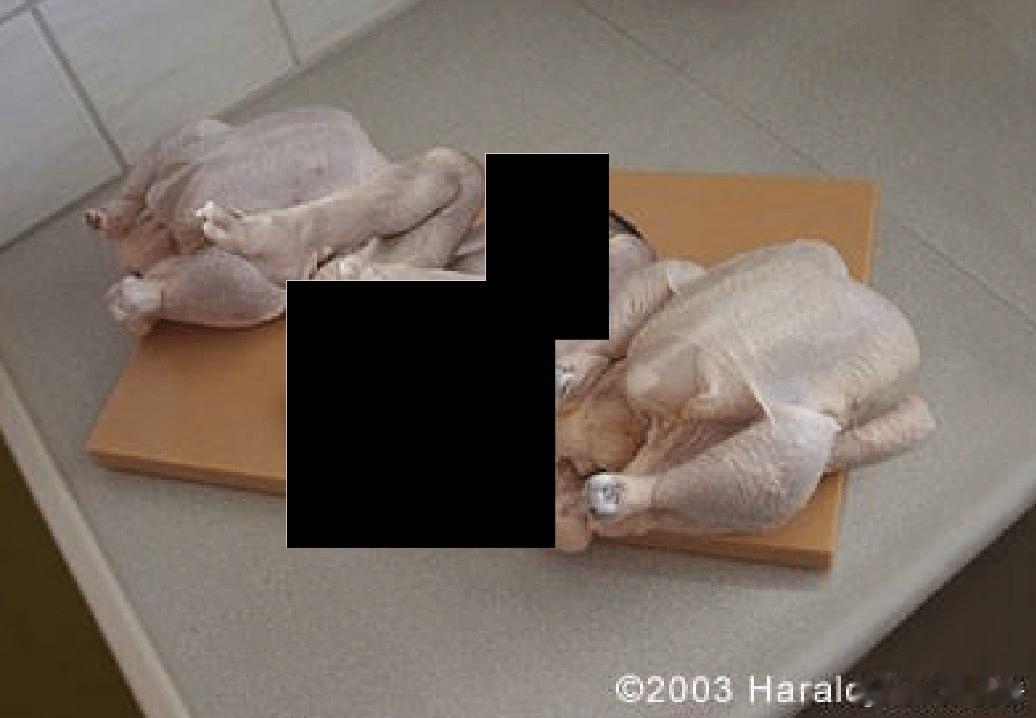 爱泼斯坦爱泼斯坦文件中流传的鸡照片其实是一个非常古老的梗图，名为“你能找出假火鸡