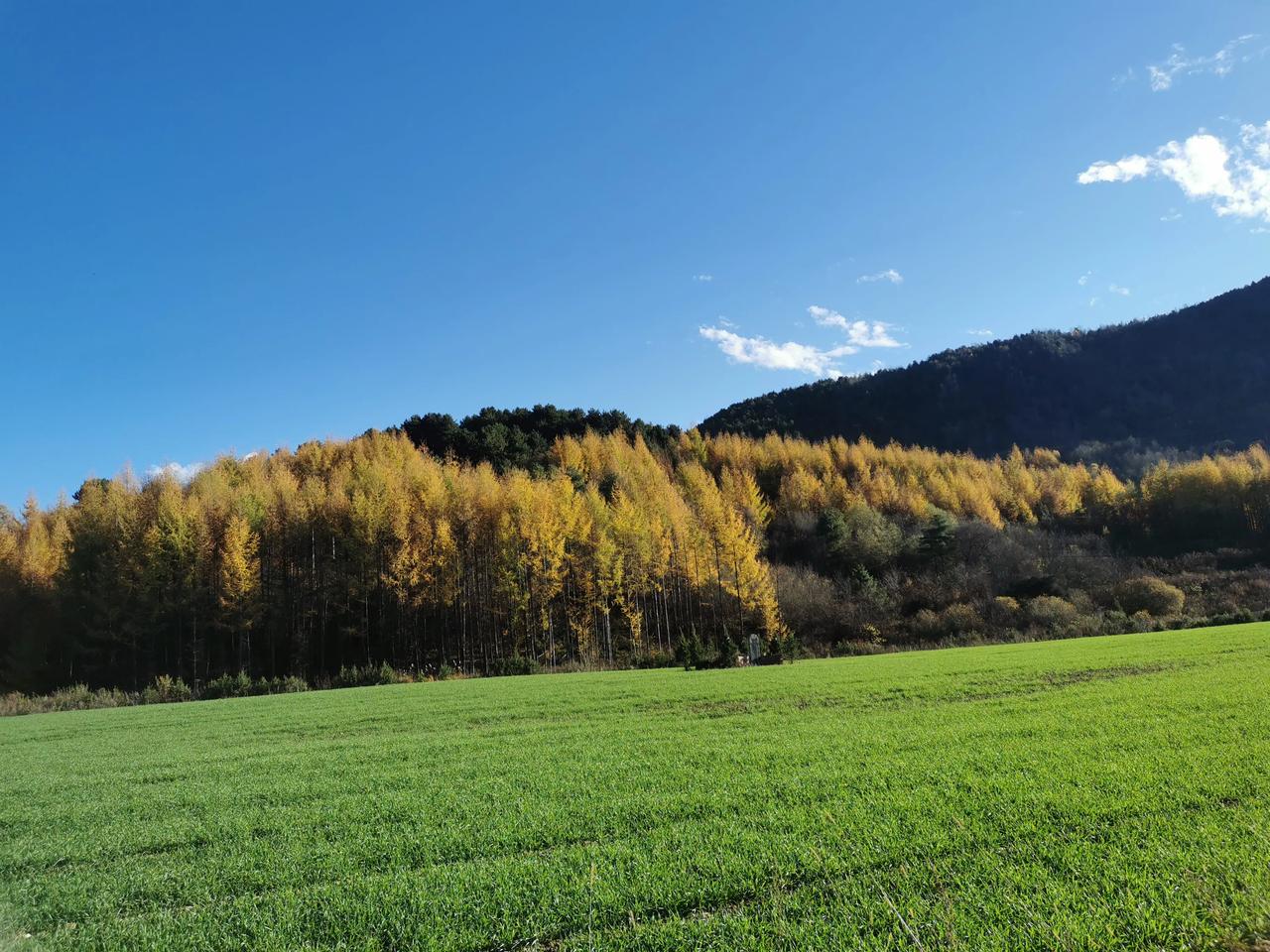 现在的孩子相亲怎么这么难？
前天我在相亲网上给孩子物色了一个合适的男孩，和对方家