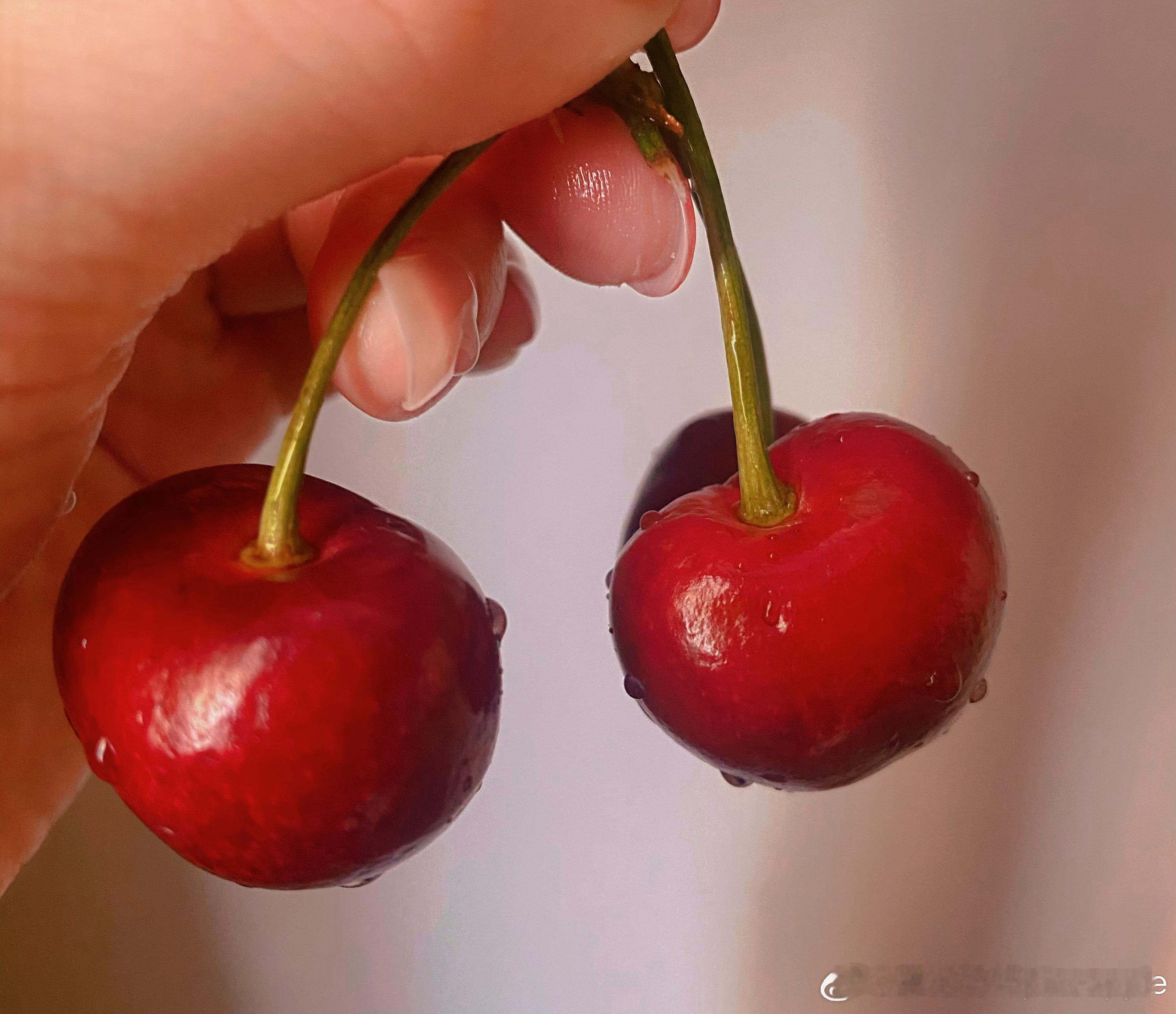 最近的睡前水果🍒，确实有助眠效果☑️ 