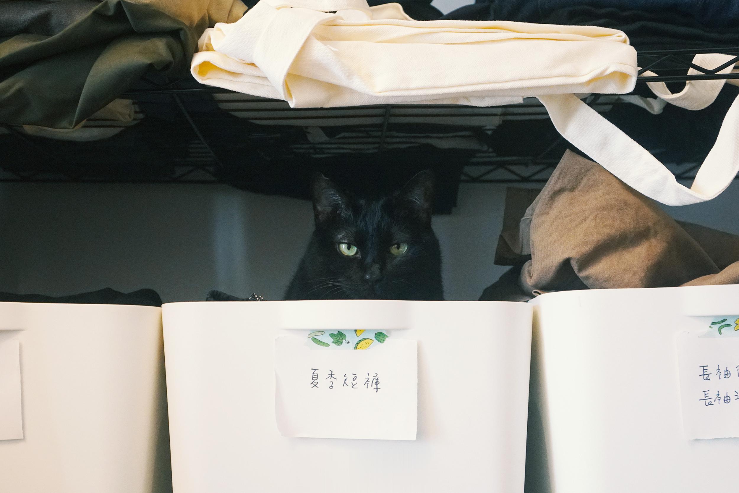 夏季短褲裡的蝦蝦要午睡惹～#蝦蝦不可以太可愛# ​​​