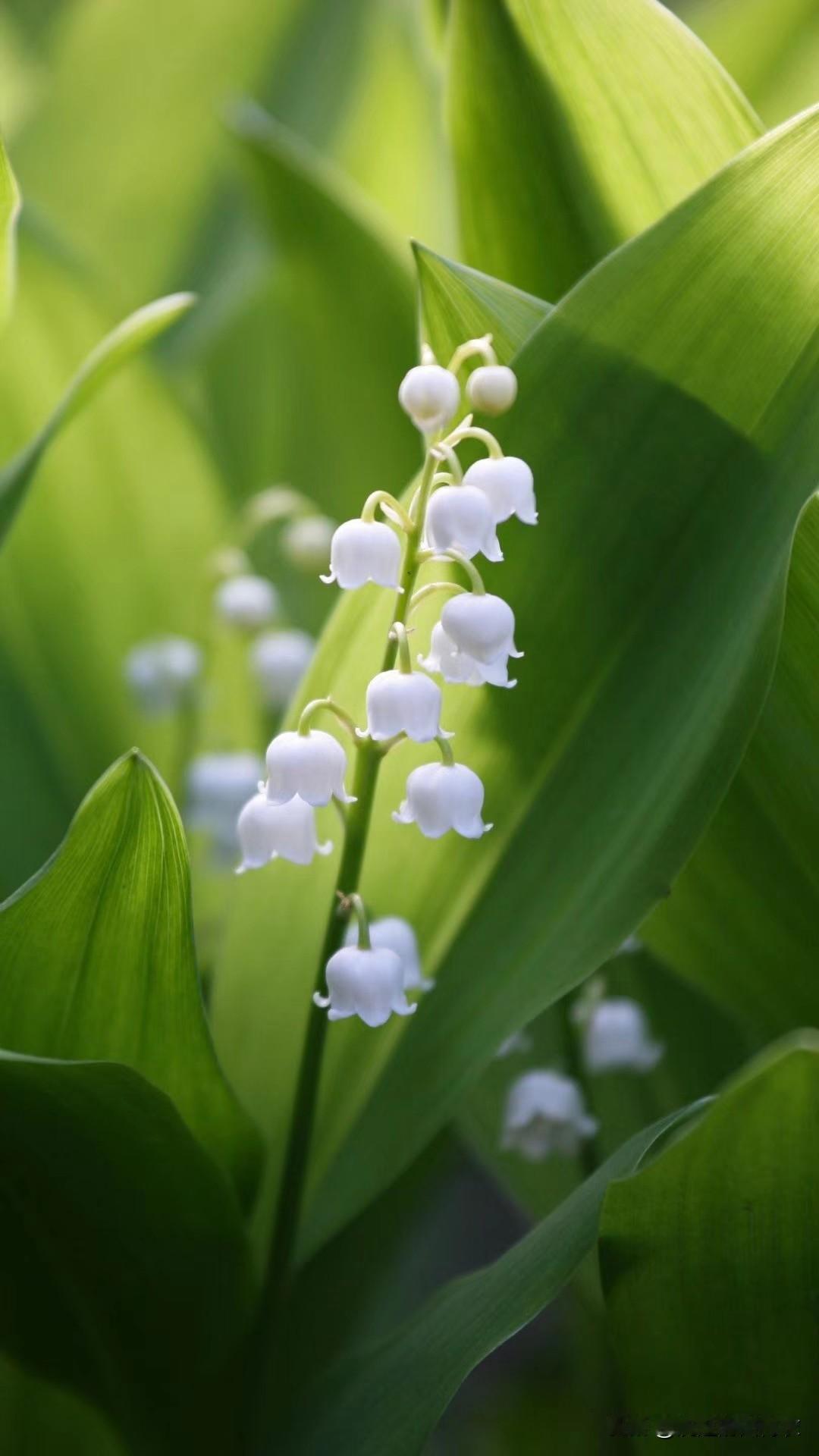 一句话证明，你读懂了人性本质无论购买什么服务，无论之前怎么协商，都不要在服务结束