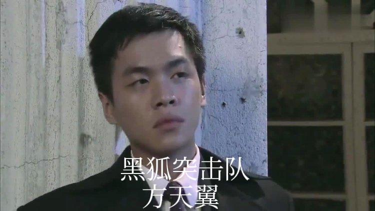 盘点你小时候看过的抗日战争电视剧人物，雪豹特战队（周卫国） >黑狐突击队>（方天