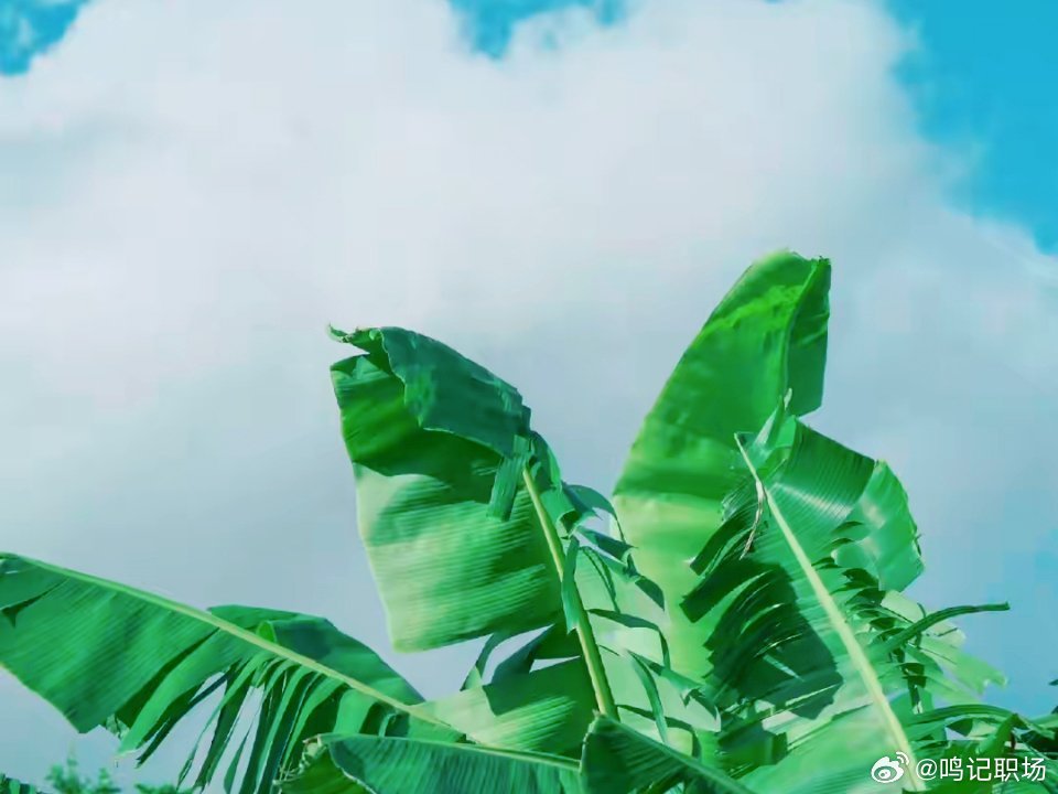 偶尔摆烂，是给自己充电的温柔仪式。 ​​​