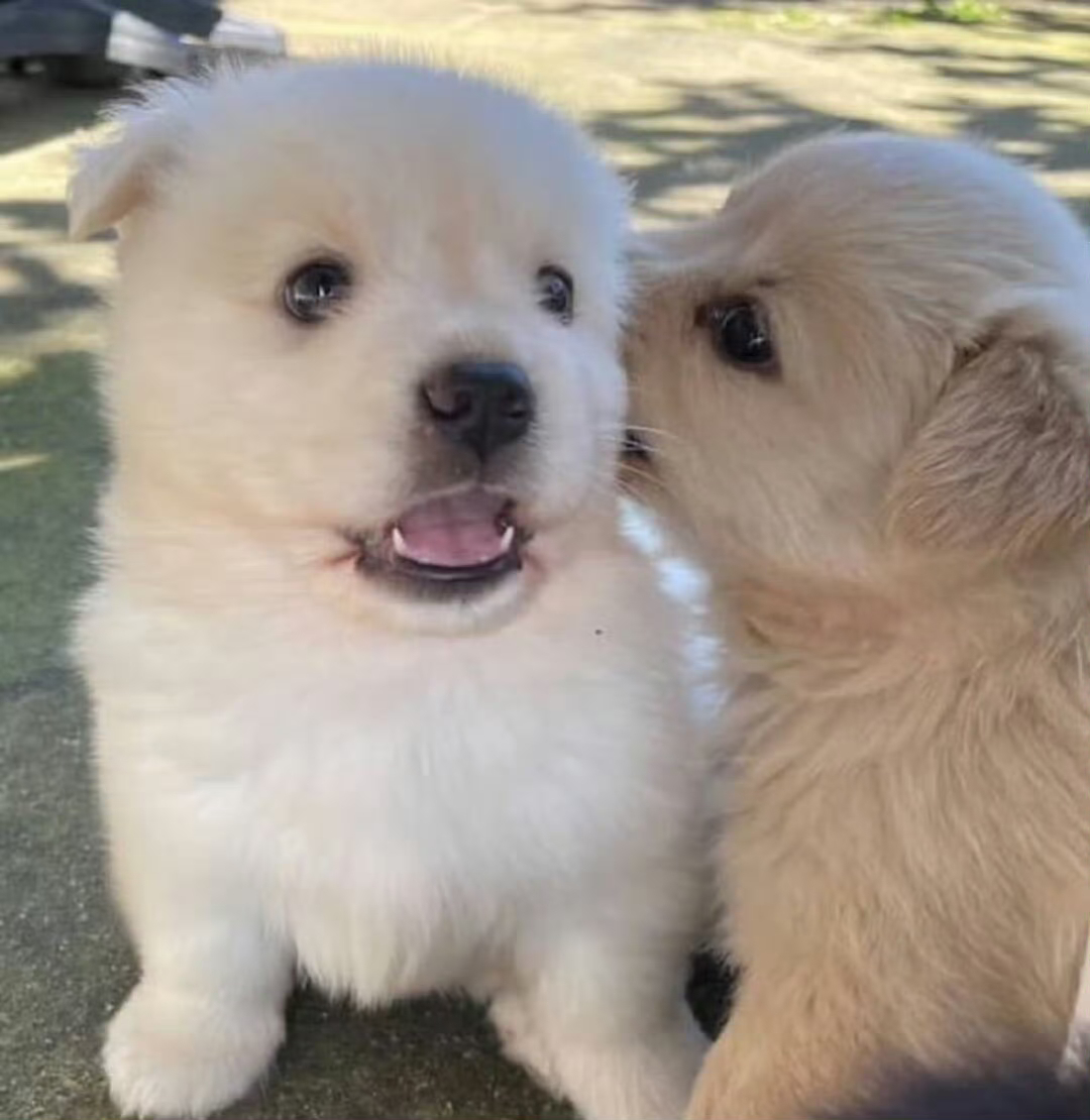 (˵˚ ω ˚˵) 
