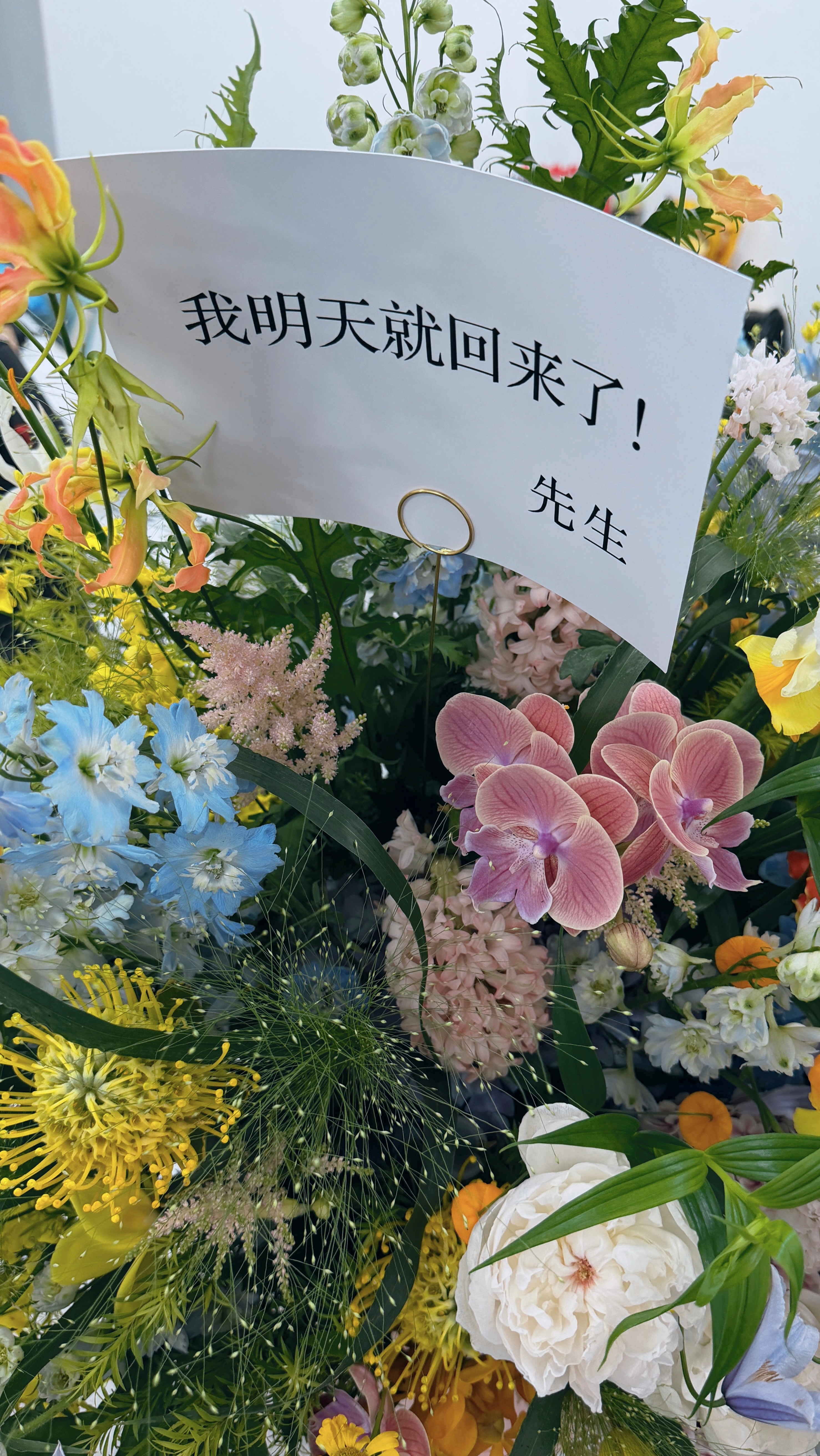 我明天就回来了！（我说我自己） 