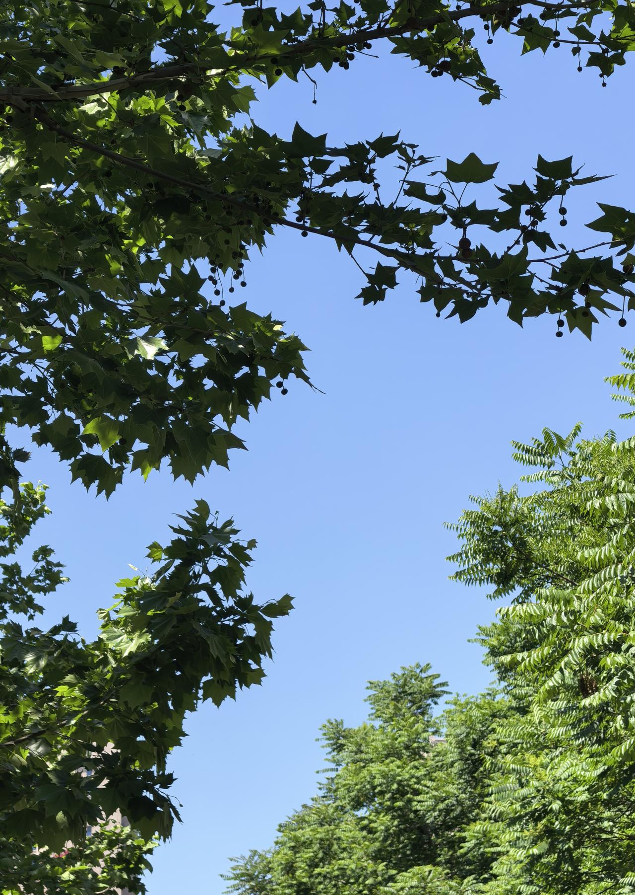 我们要学会成为自己最贴心的朋友，悉心照料身体是重中之重。不少人总自恃年轻，觉得熬