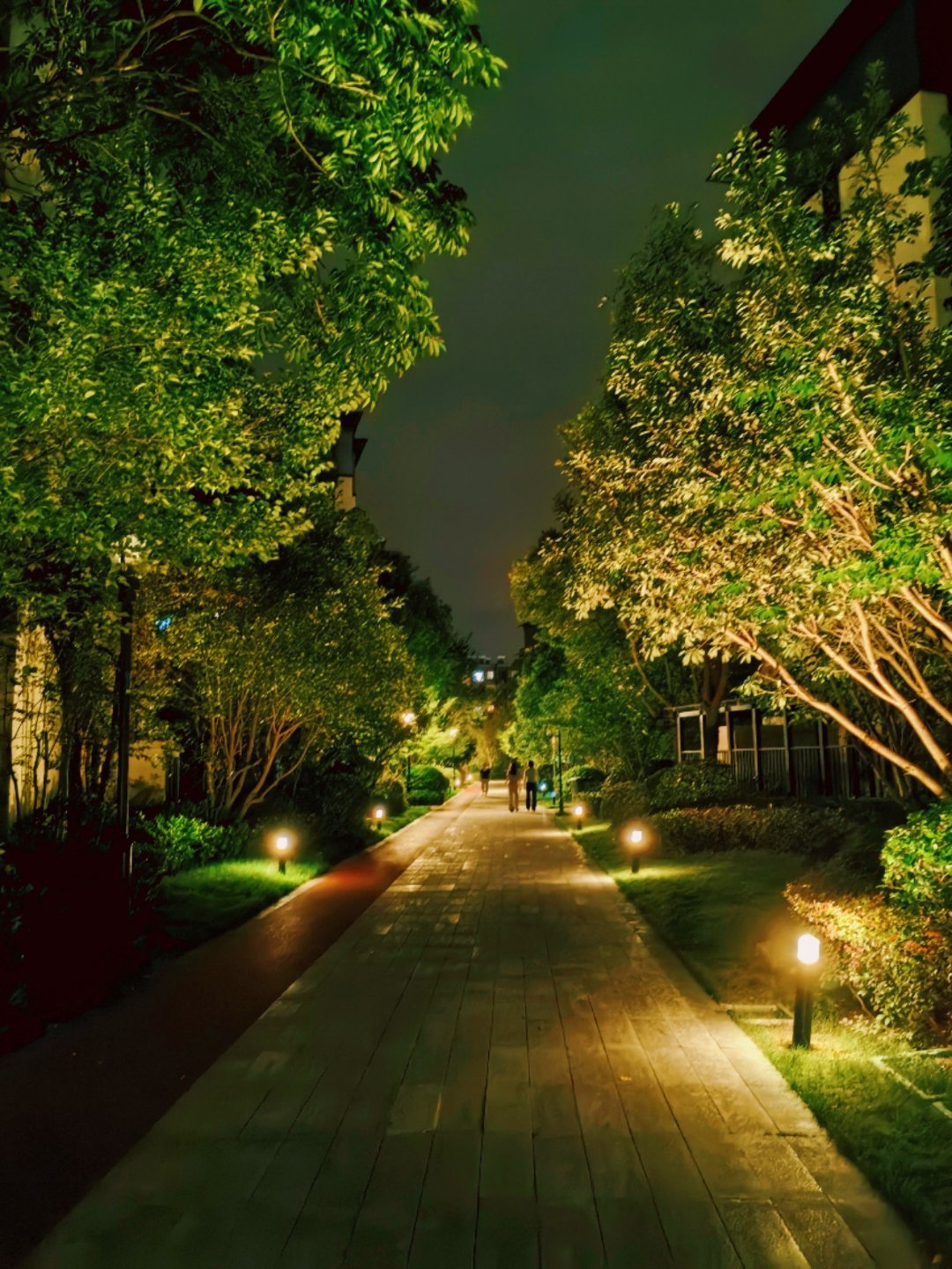 生活手记 健身完晃回去的路上，特别愉悦[送花花] ​​​
