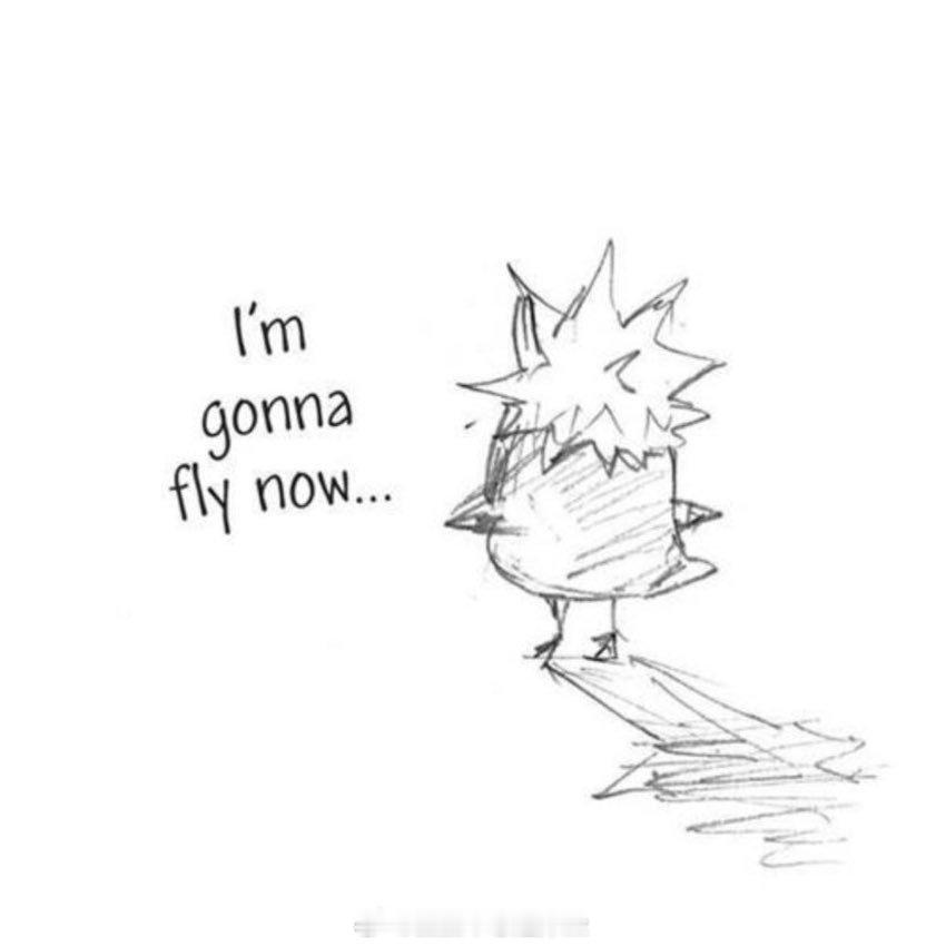 FLY 