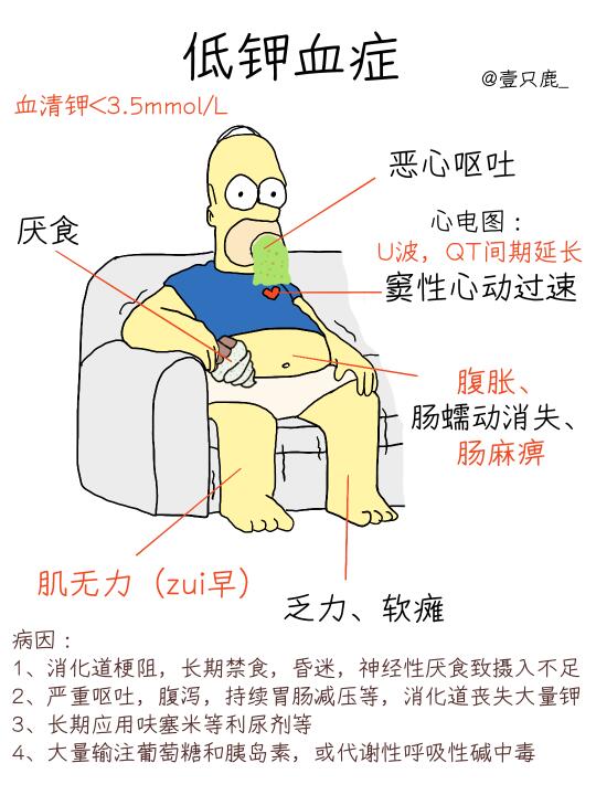 医学生笔记📝｜低钾血症、补钾原则