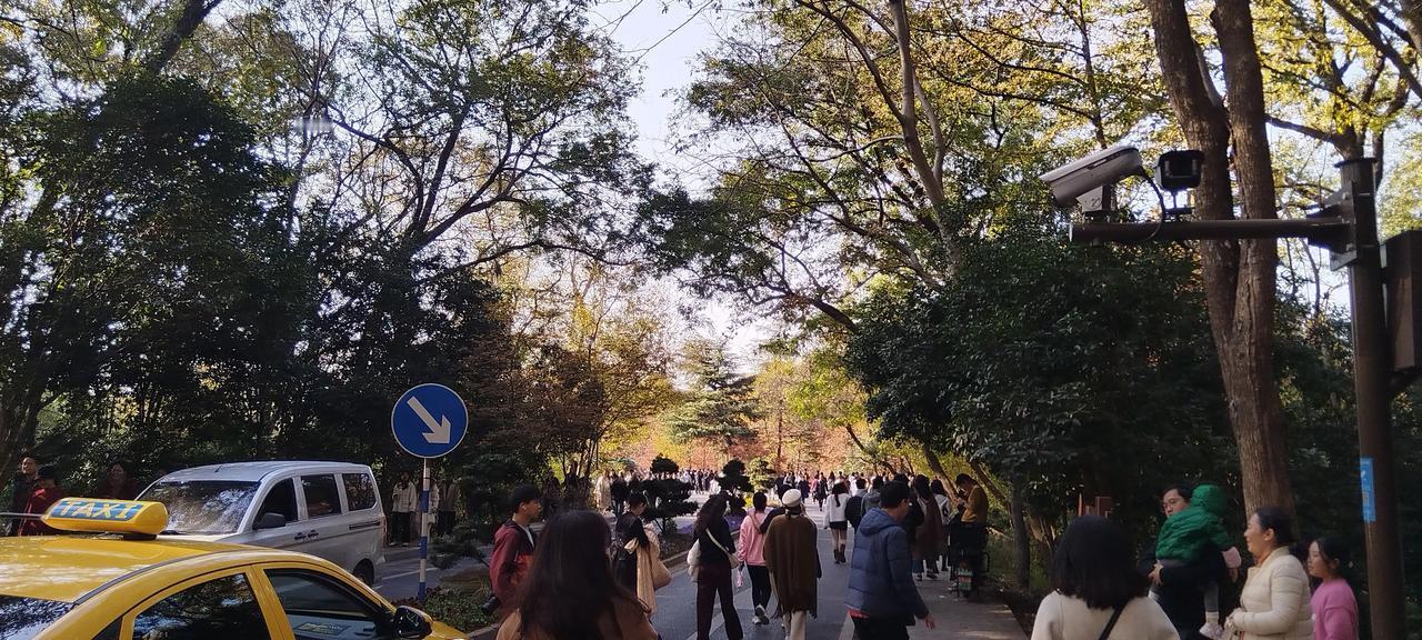 车行路，人簇拥。