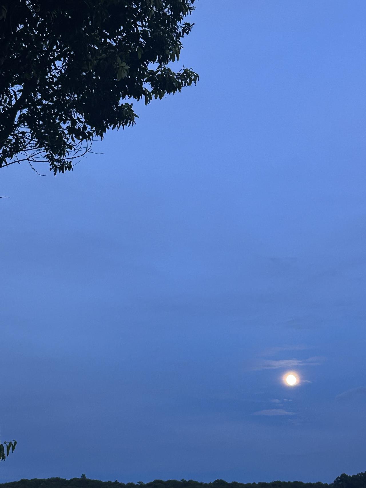 《聊天》

你说非常害怕
大雨之前的大风
很大很大
甚至发出鬼叫声音
我问你
你