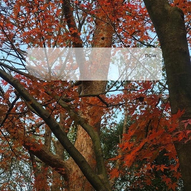 你是否有过这样的经历，发朋友圈后有人从不点赞评论，却默默看你动态？
其实，成年人