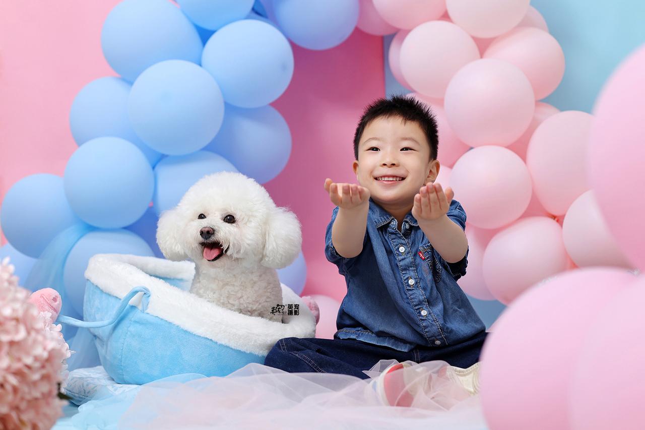 和小朋狗一起过生日，多开心呀～🥳