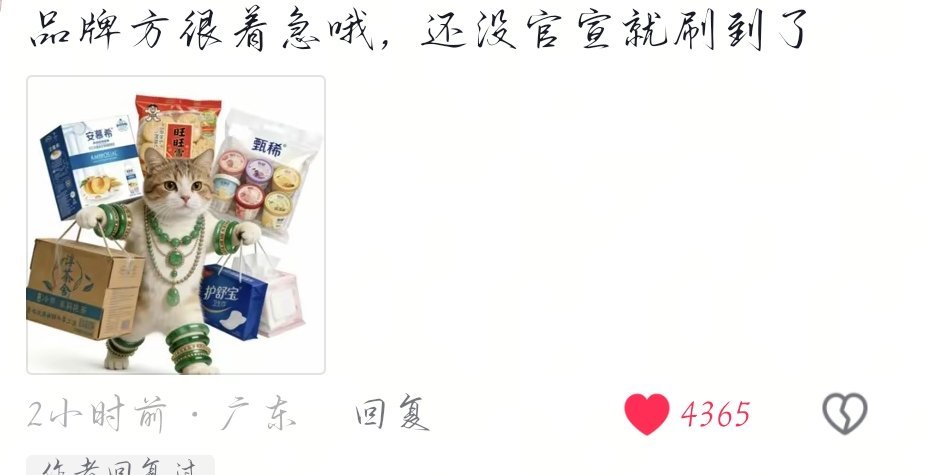 我看到了德佑的影子 
