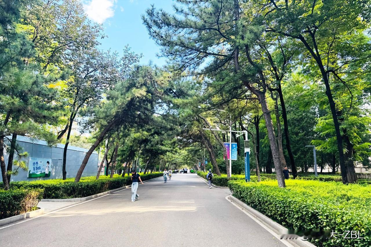 申购百瑞吉预期收益，明日申购计划

百瑞吉9月7日（周一）公开发行。
发行代码：