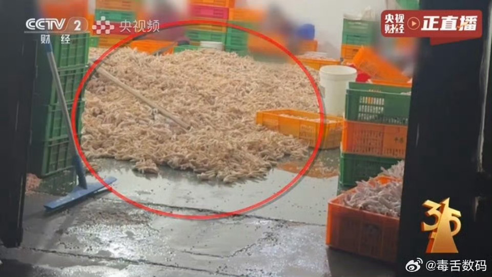 315晚会第一个曝光的的是鸡爪双氧水鸡爪