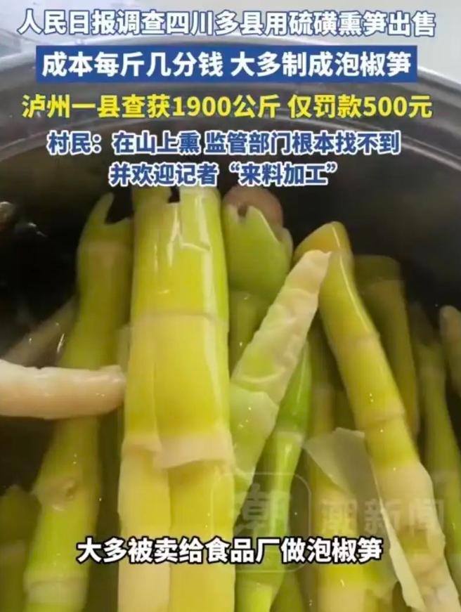“上人民日报了！”四川，记者暗访发现，当地村民直接在山上用硫磺熏竹笋，熏过的竹笋