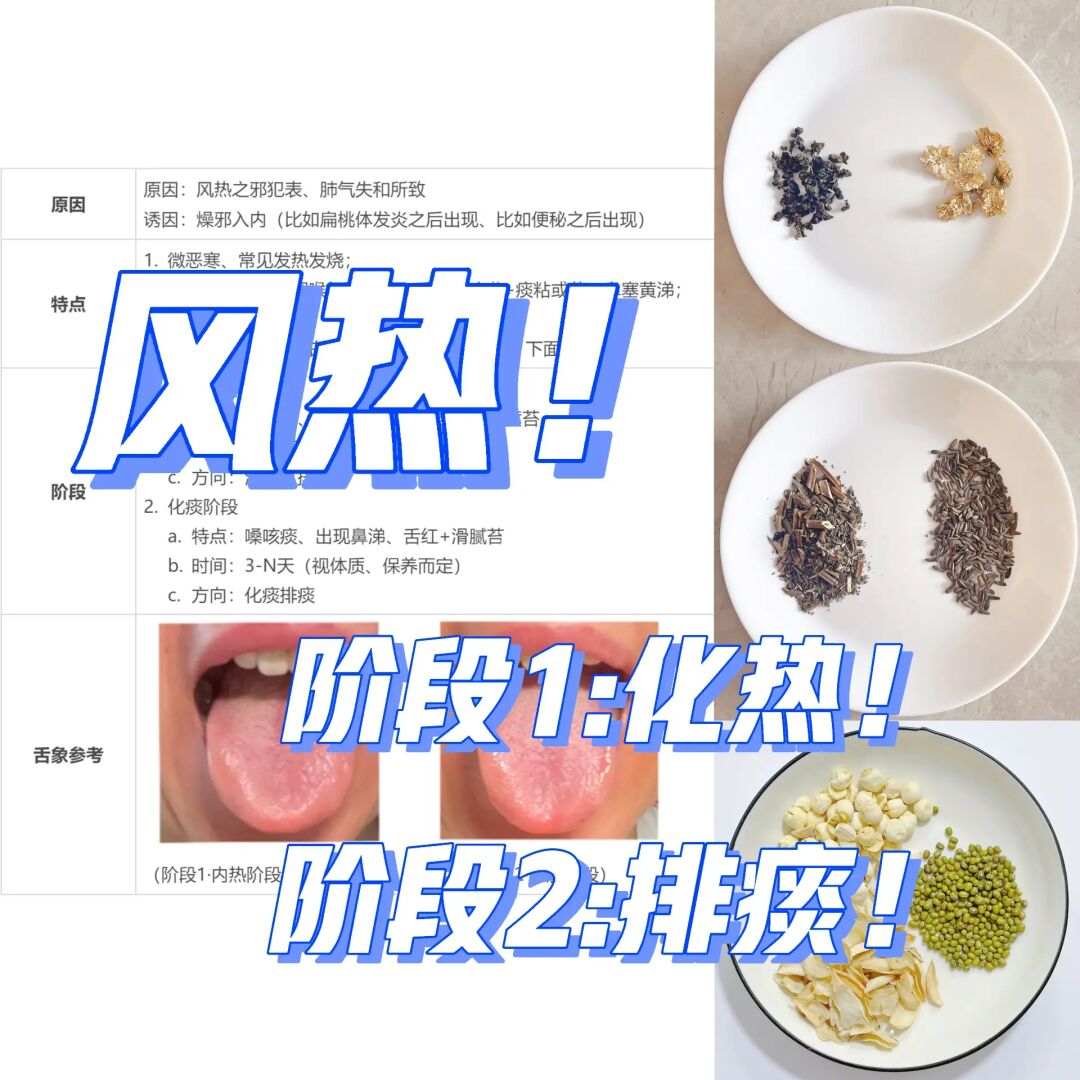 处暑后易风热👆分2个阶段（亲测！）