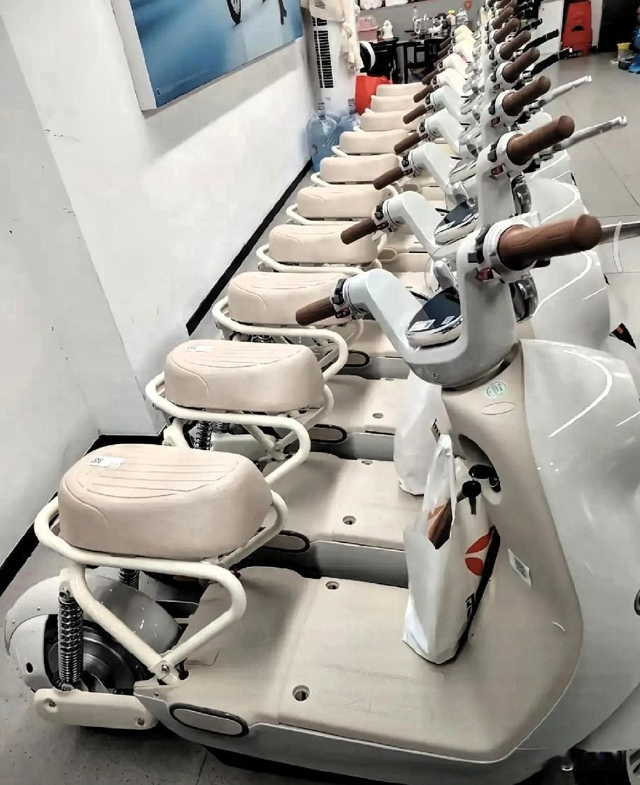 新国标电动车经典语录：

1、造车的人肯定不骑电动车，骑上就知道了；
2、座凳必