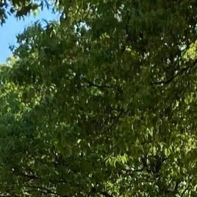 阳光信用相信自己所坚持的一些事情，不要轻易否定自己——  🐑 ​​​