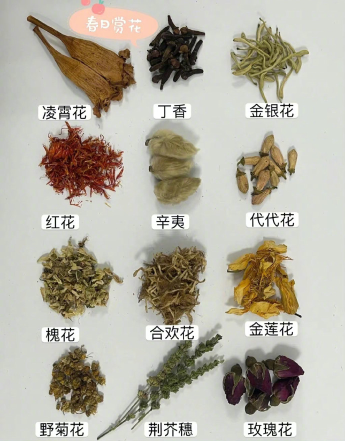 “中药名称图鉴…”我的宝藏食谱