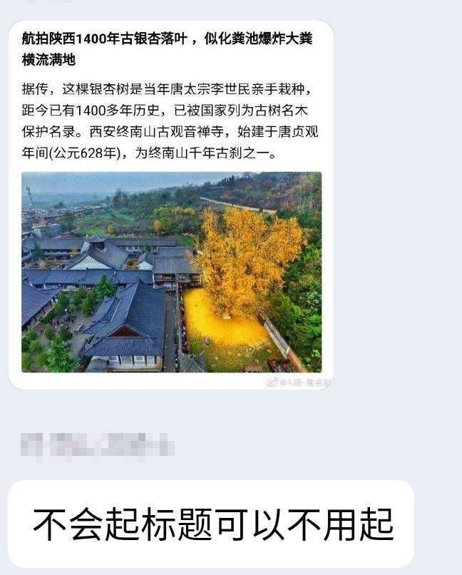 我文采： 