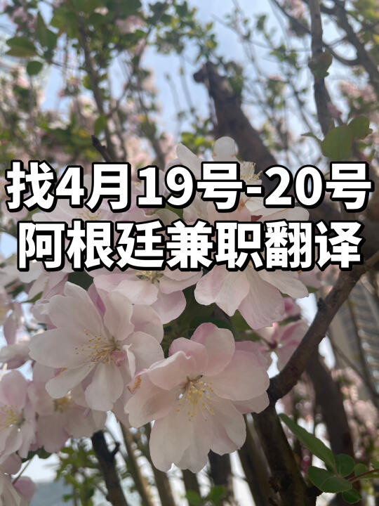 找阿根廷兼职西班牙语翻译