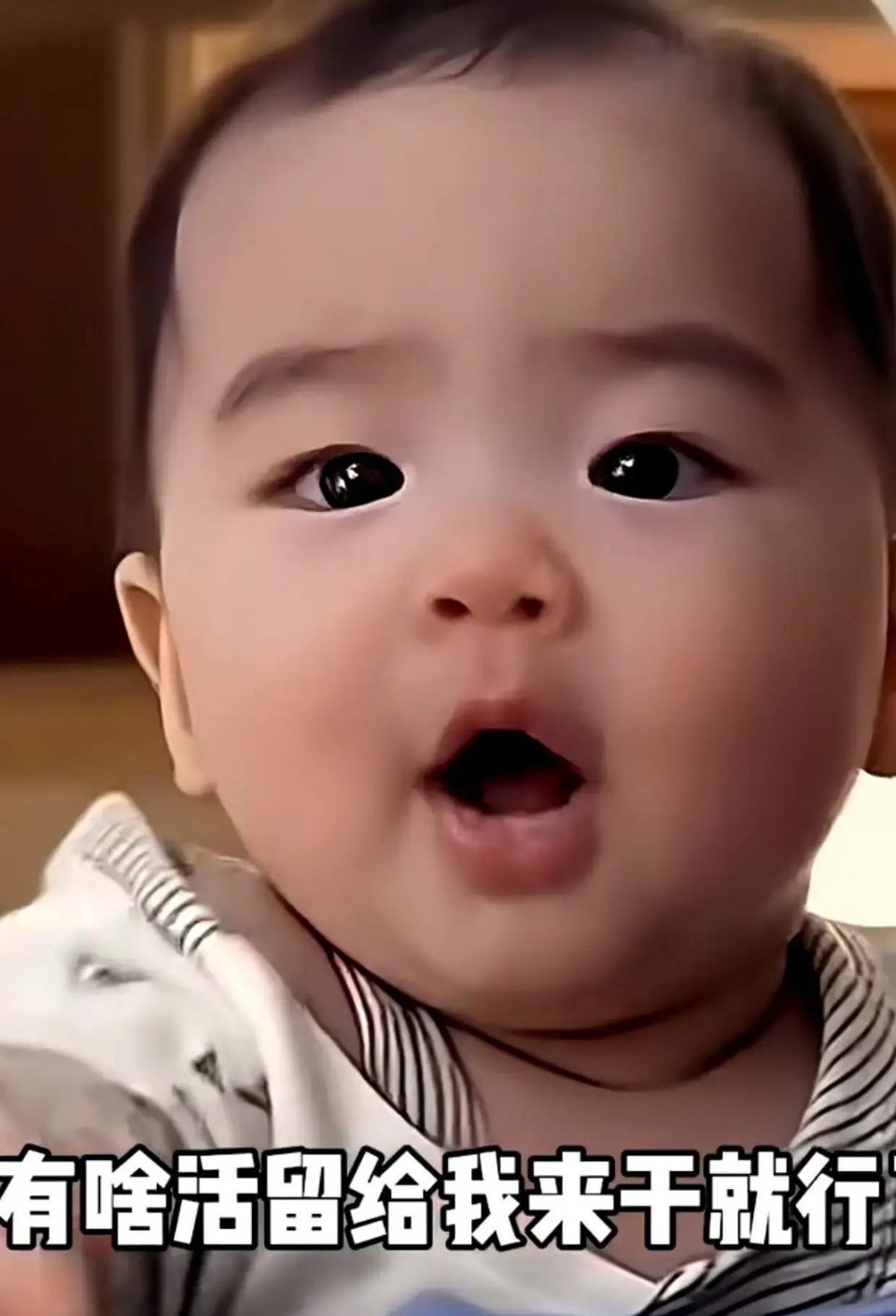小汪宝AI视频刷屏，大家想看的不只是一张萌脸 
