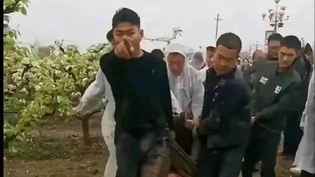 针对河南梨园纠纷的解决方案：

建议政府在邻近区域购置7亩土地，并将梨园内的所有