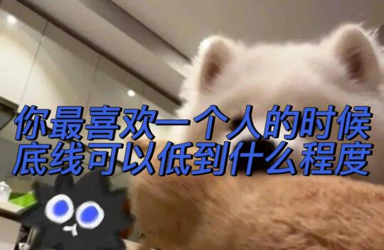 你最喜欢一个人时候底线可以低到什么程度