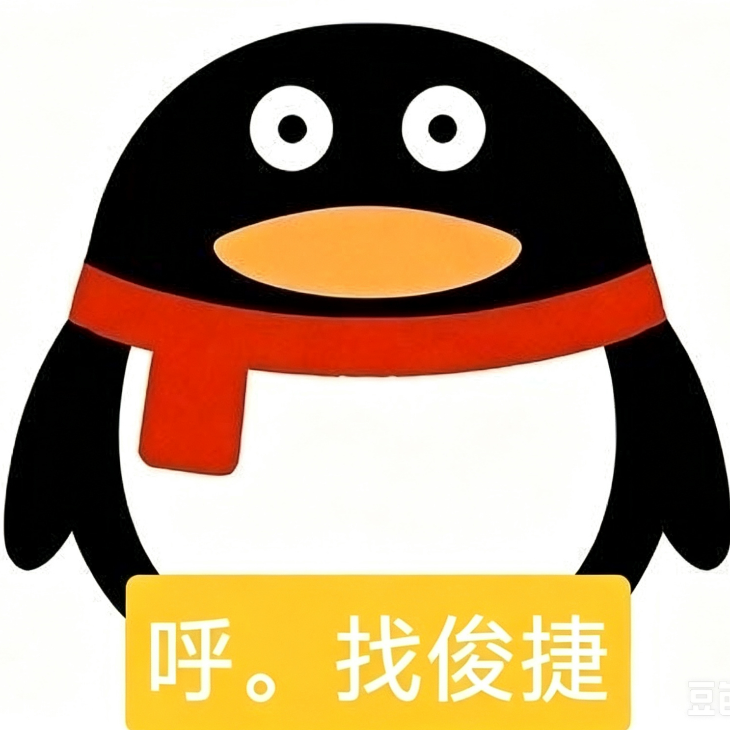 分享图片 