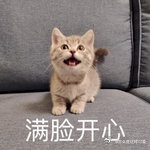 华为音悦家App开启公测 尝试用轻柔的管弦乐改编儿歌，曲风瞬间变得温婉治愈。多样