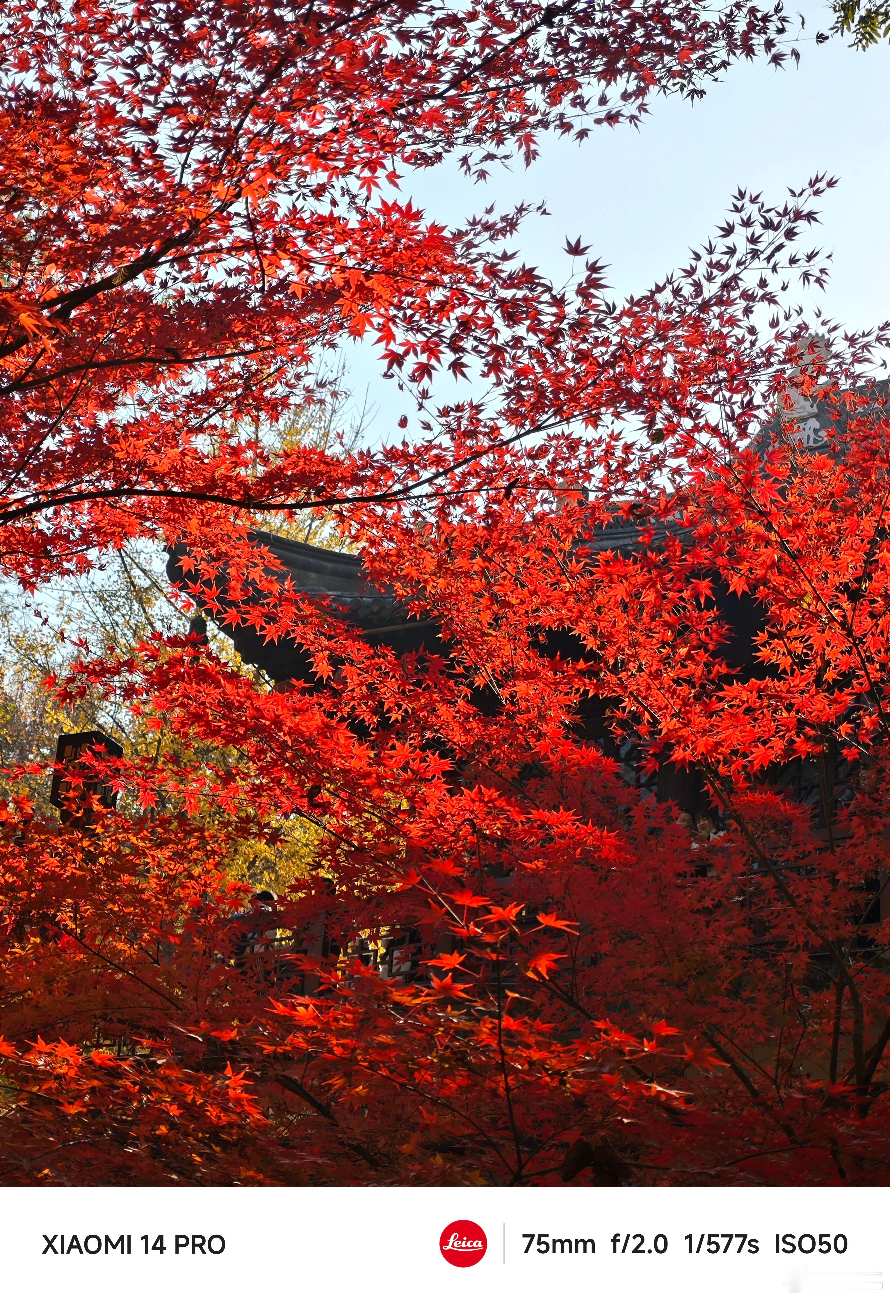 #每天早起打卡#早上好，别忘了下午两点的小米汽车技术发布会。 ​​​