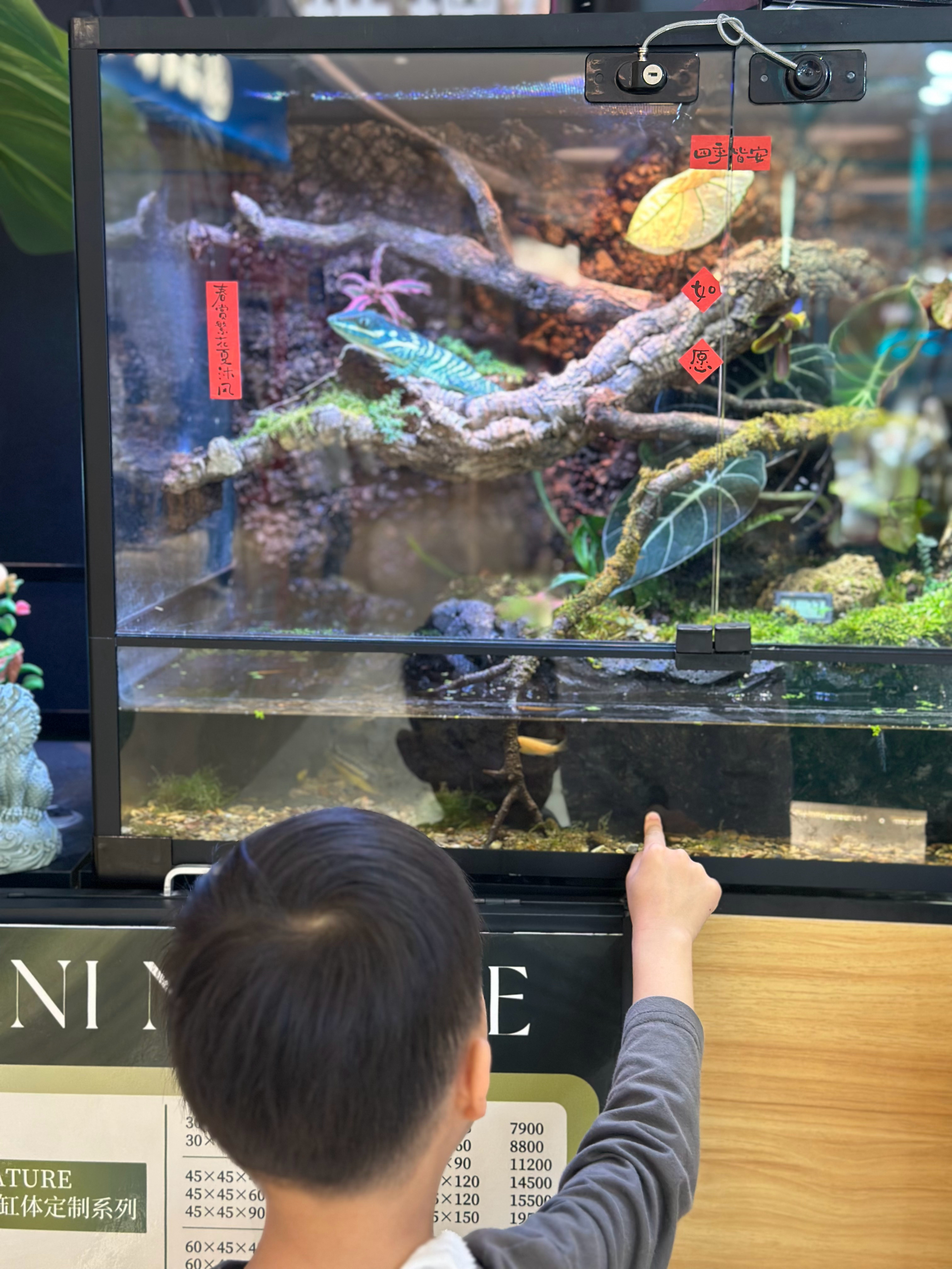 娃娃很好奇，喜欢看，我接受不了