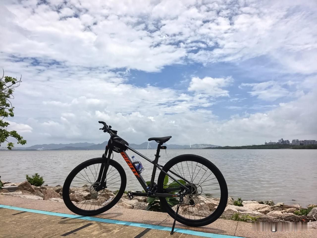 中登变老登，跑步改骑行