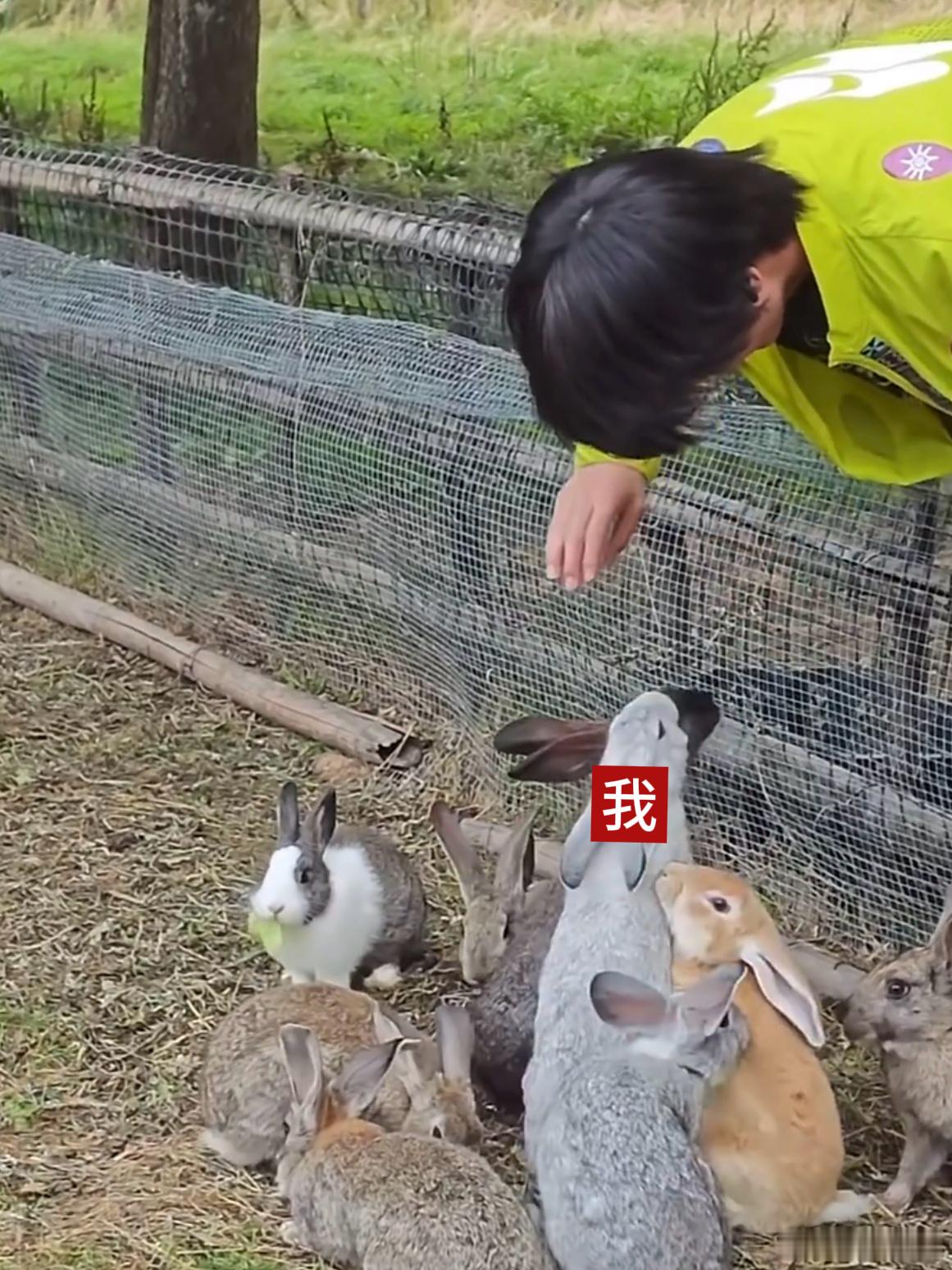 我对东哥的迷恋程度 ​​​