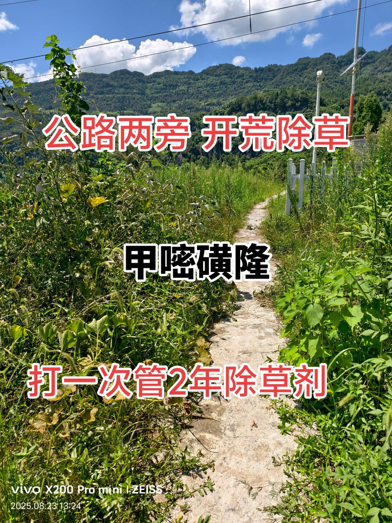 打一次三农不能种植的除草剂，你用过吗？甲嘧磺隆