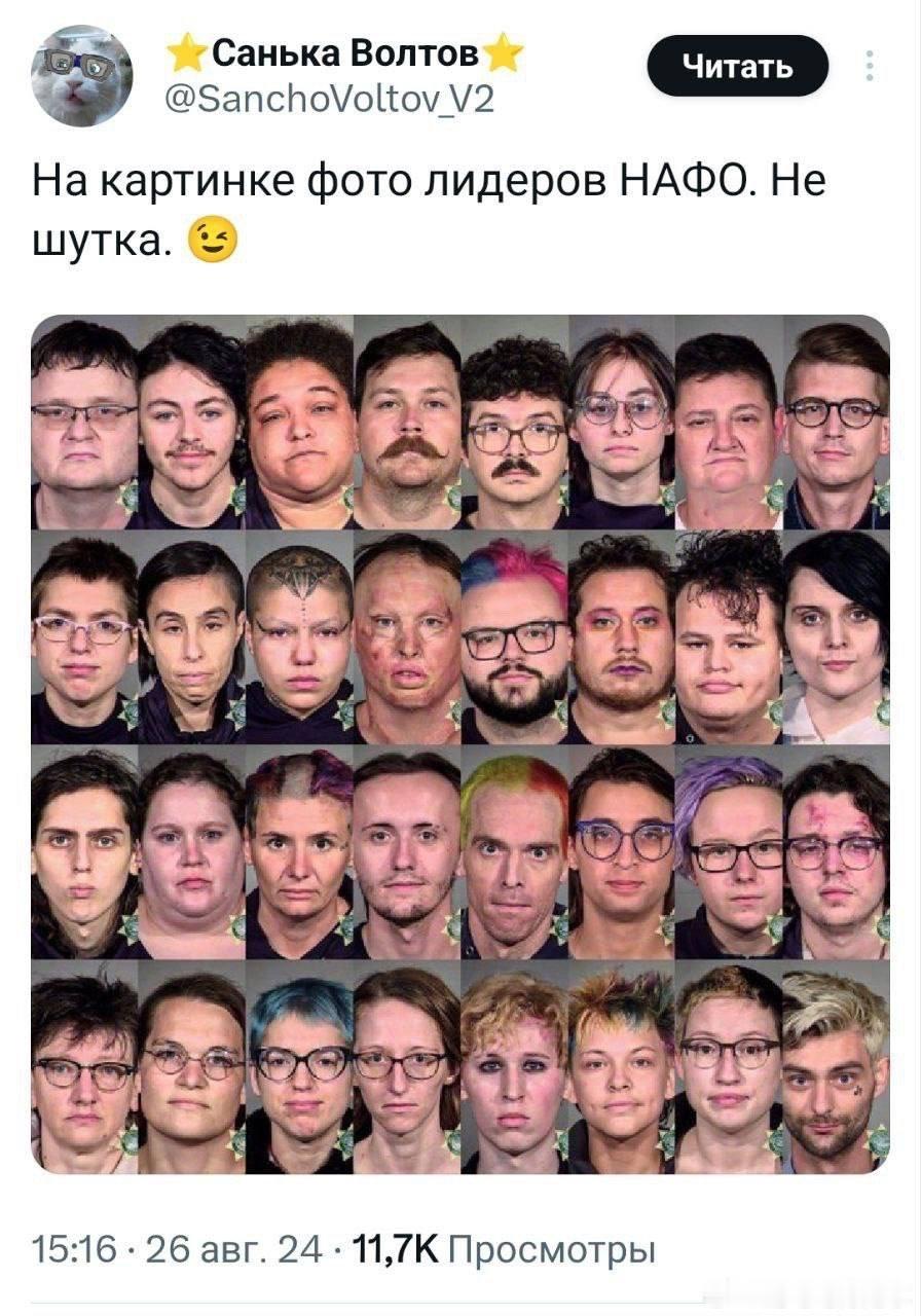 有人在互联网上创建了一个名为 NAFO 的社区，目的是打击俄罗斯的宣传并攻击俄罗