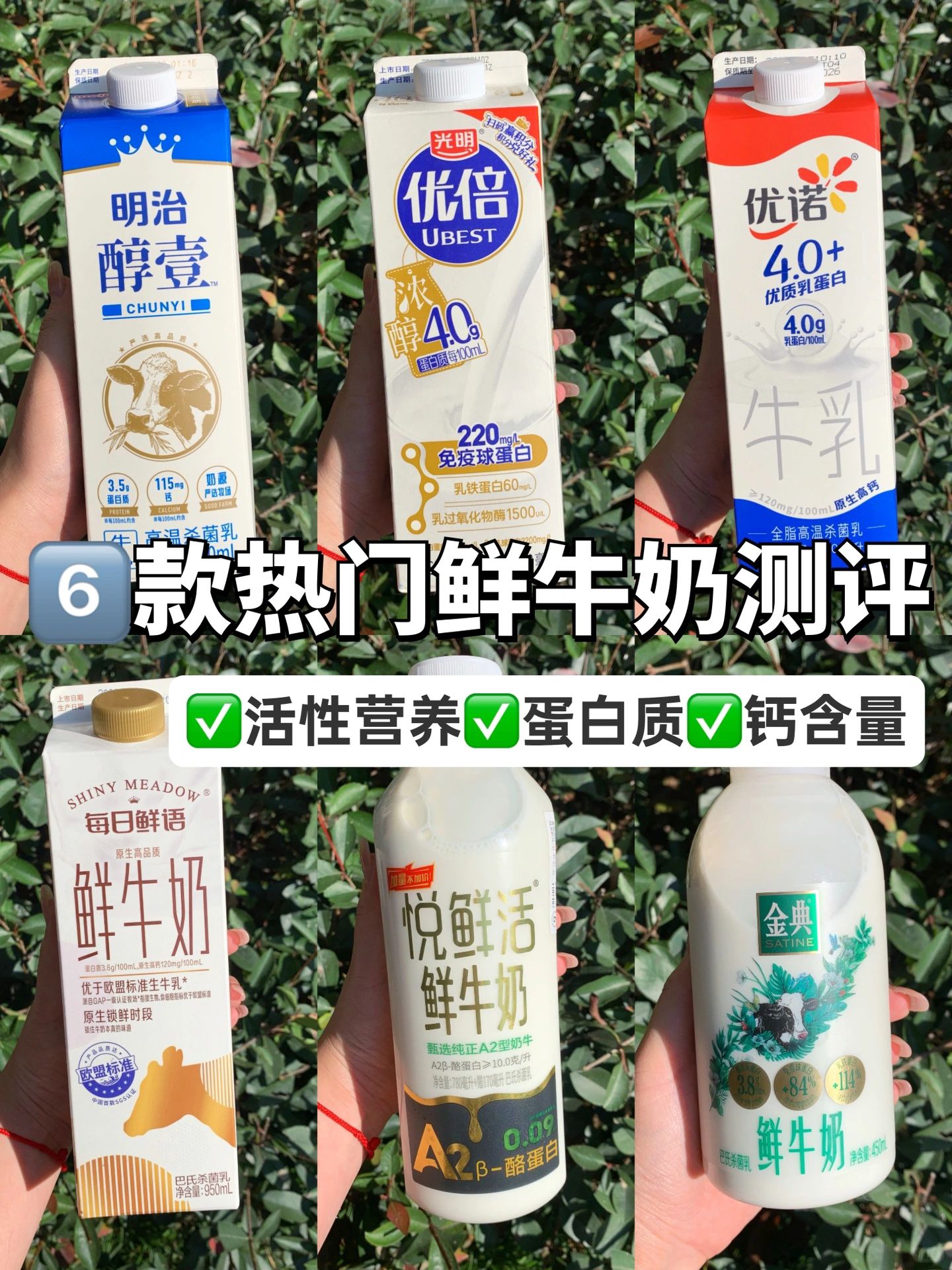 奶娃子必看！高品质鲜奶大测评✅好喝不踩雷！
