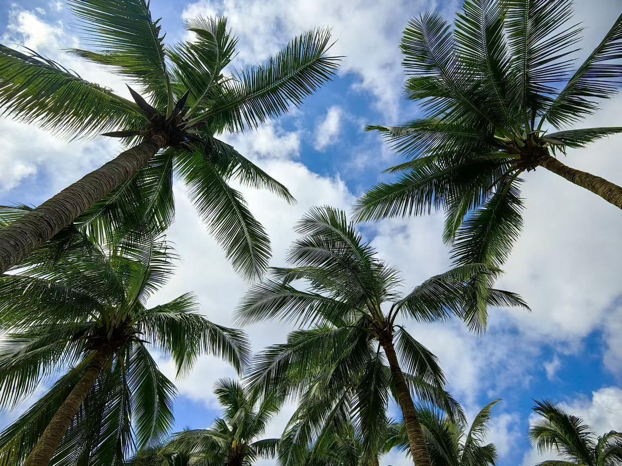 晒一张相册里的天空吧...