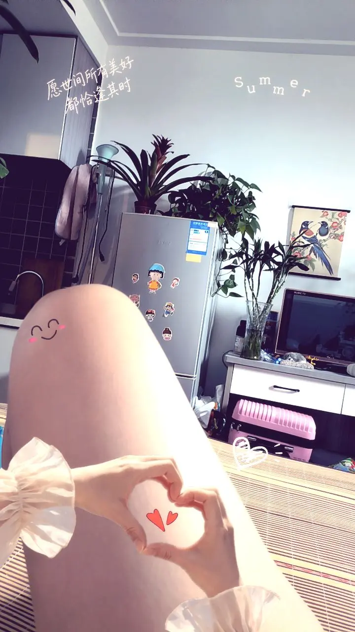 每日分享