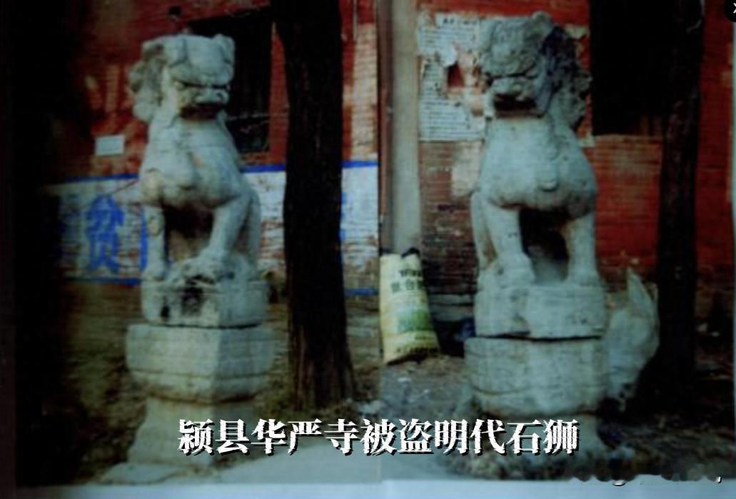2009年被盗的明代石狮，2026年出现在另一处文保单位，肉眼可见“就是它”，但