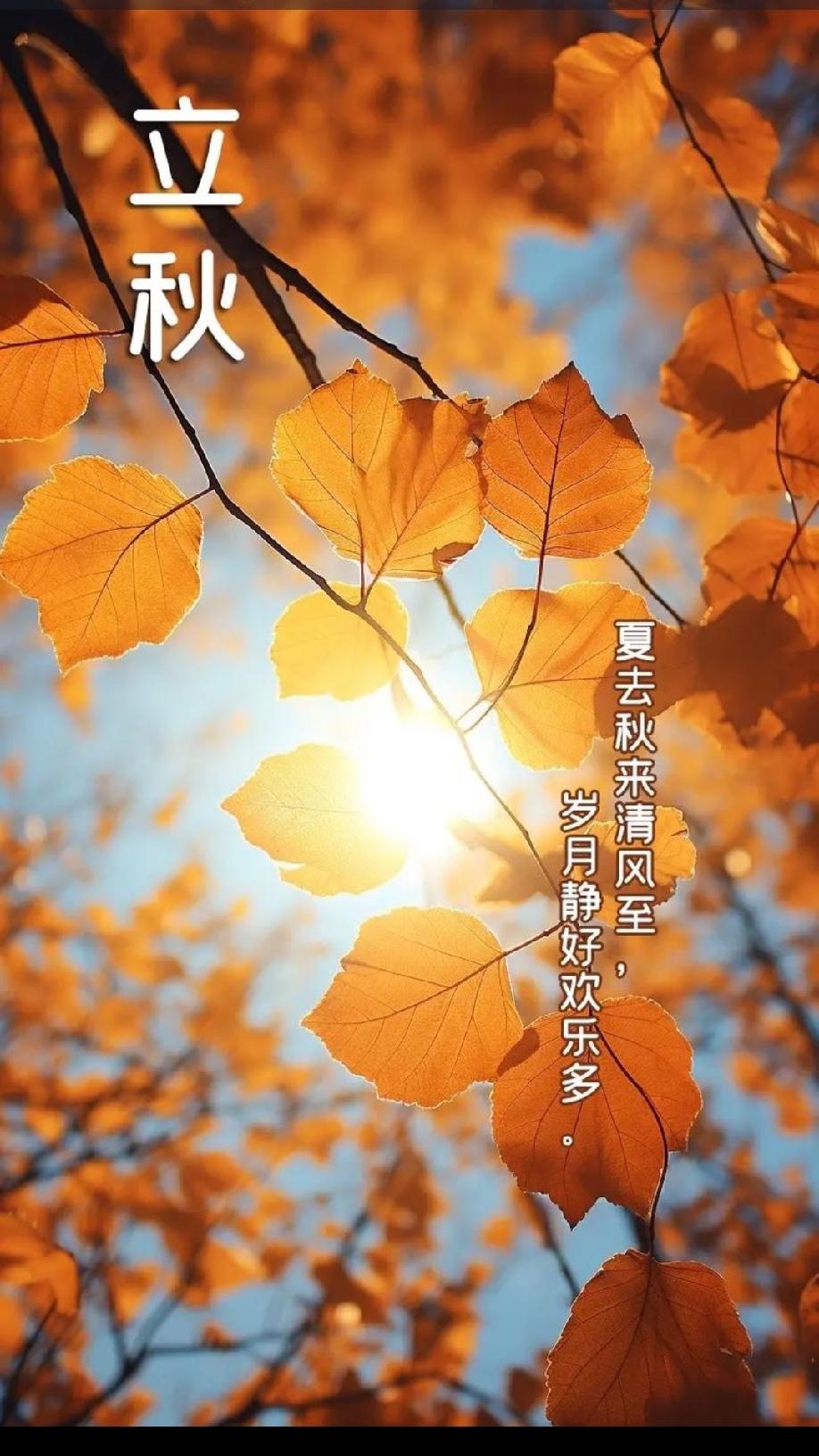 立秋情怀
         立秋，是二十四节气中的第十三个节气，也是秋季的起始。