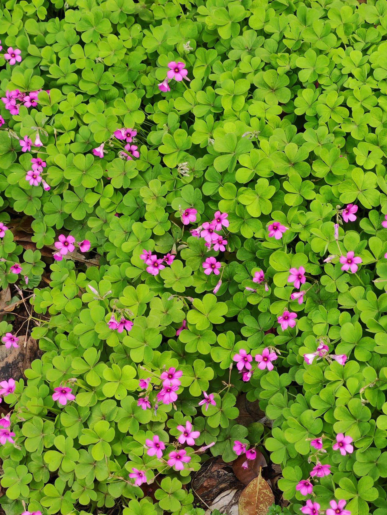 今天一早上就在打卡，但是还是有朋友往下翻了很久，翻到我的征文互动。

感谢朋友们