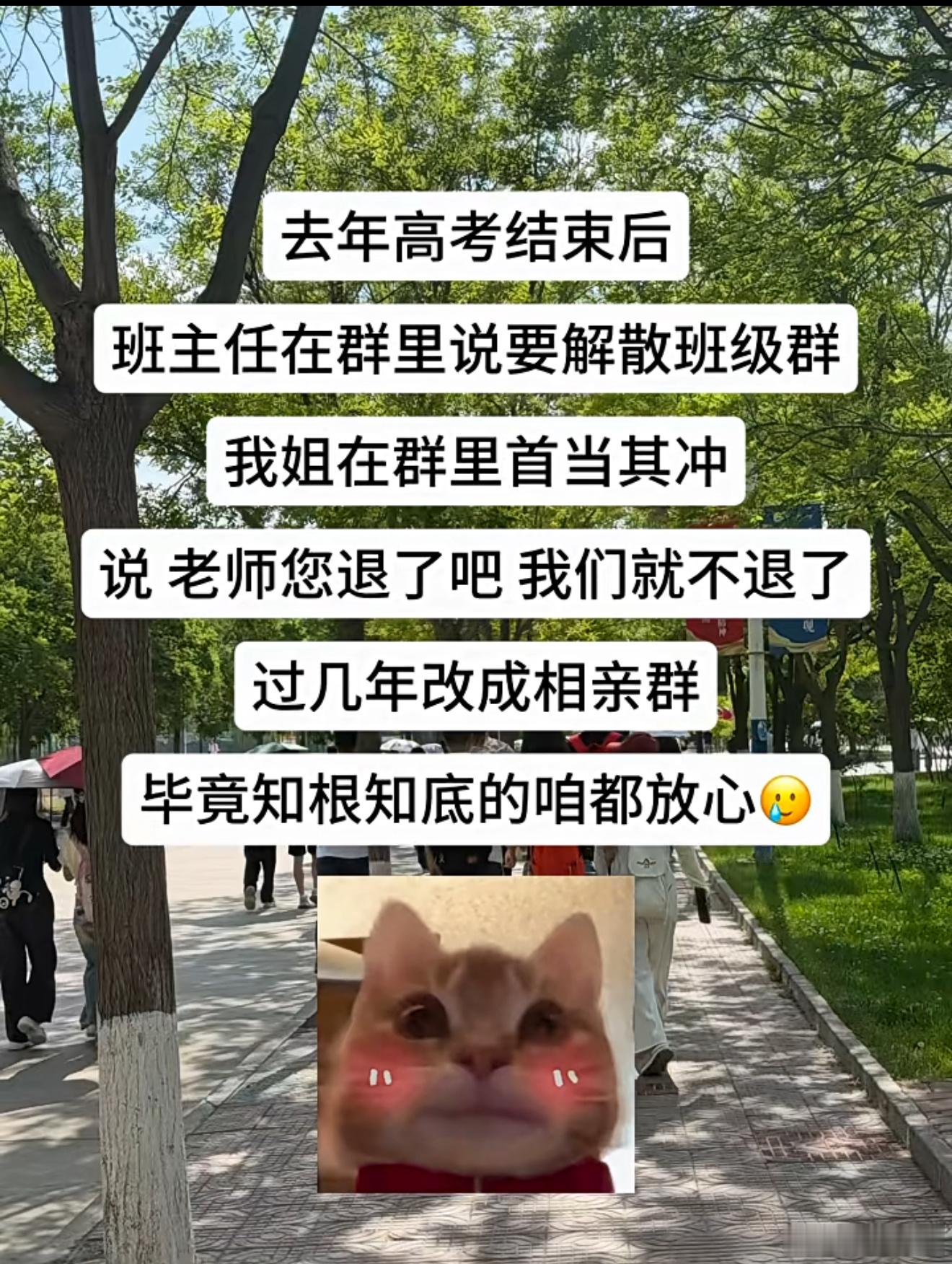 魏晨水下求婚 老婆只顾着追鱼魏晨水下求婚 老婆只顾着追鱼 女方估计心想这一次难得