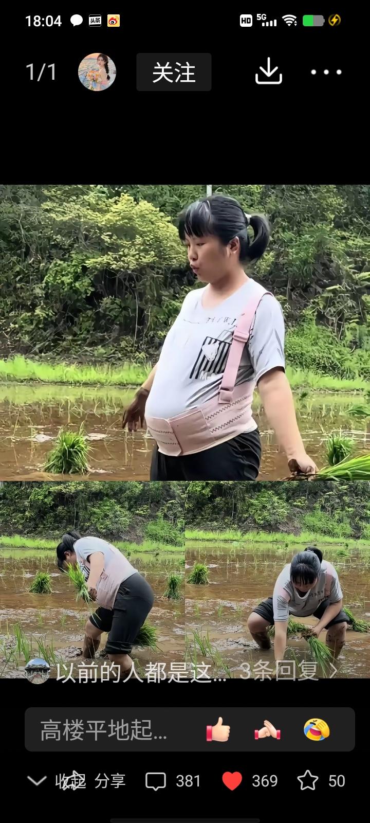 湖南怀化一村子，怀孕八个月的孕妇赤脚踩进泥水田插秧，丈夫在田埂递苗，婆婆弓着腰忙